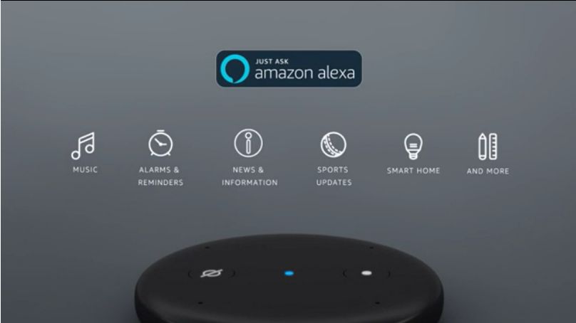 Amazon Echo Input