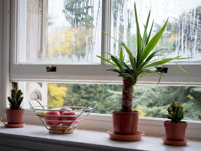 Open Windows alerts - Frient Entry Sensor Pro