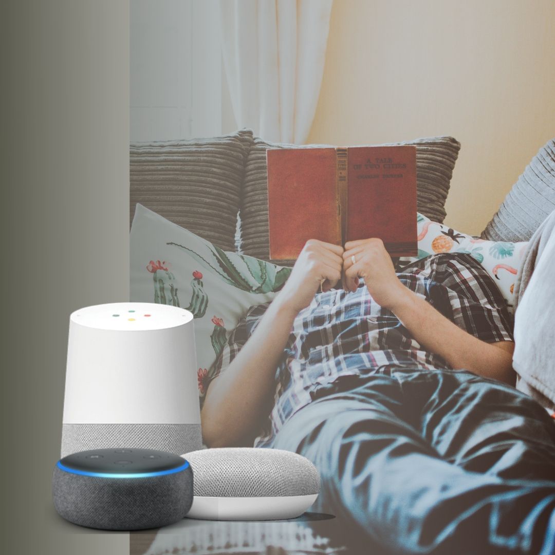 SmartNode 8.1 Module - Voice Control