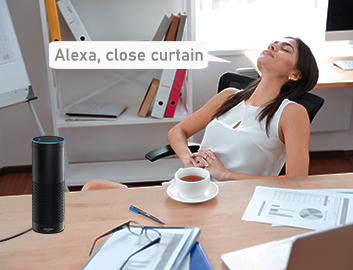 Wozart Motor Controller - Voice Control