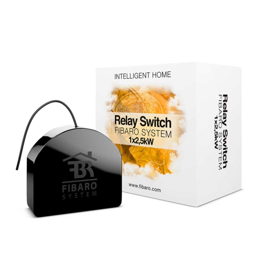 Z-Wave Fibaro Relay Insert 1 * 2.5 KW